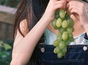 找不到评论区？91黑料社区的入口—永不迷路的吃瓜王国等你来探秘！