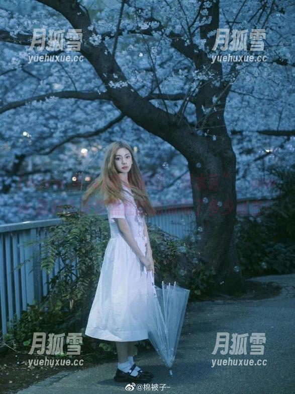 安卓圈的“深水区”，www.黑料告诉你黑社的树洞藏了多少秘密！