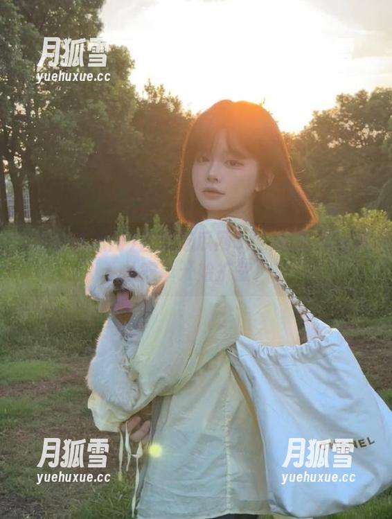 吾爱吃瓜网52：朝阳的故事从安卓开始扩散！
