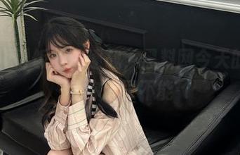 饭圈追逐战，黑料网今天的资源让你欲罢不能